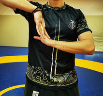 Mobilisations des Poignets